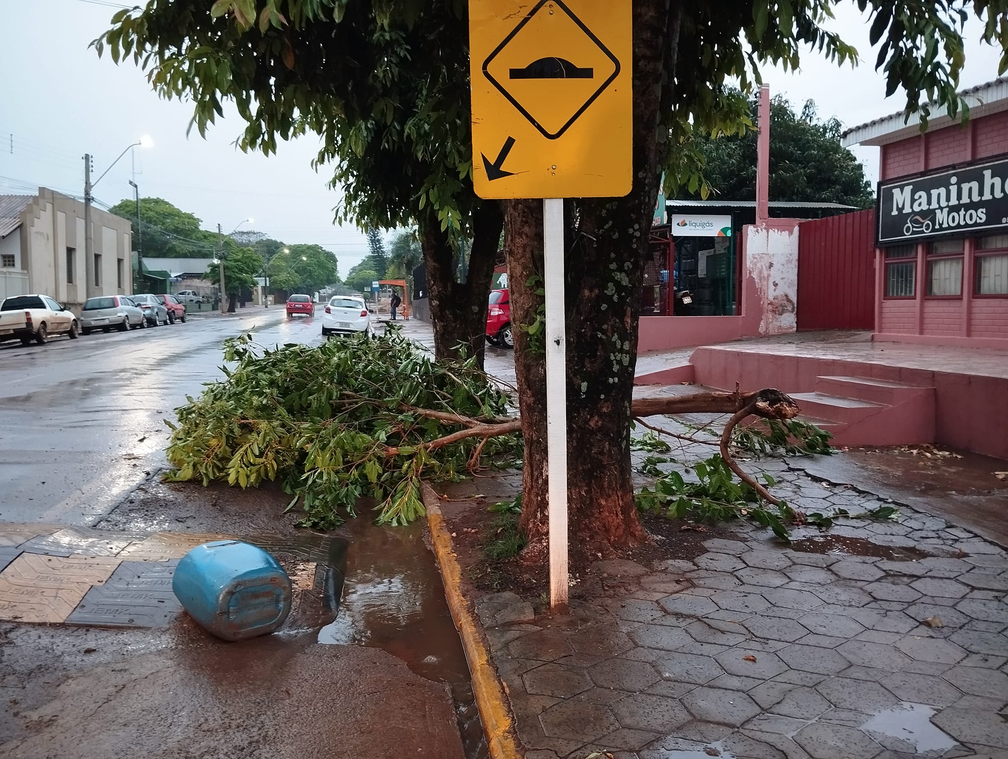 temporal são borja